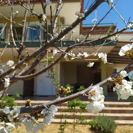 Ktima Anastasia Olive Grove Апартаменты Нафплион