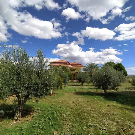 Ktima Anastasia Olive Grove *