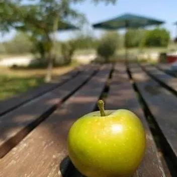 Ktima Anastasia Olive Grove Апартаменты *
